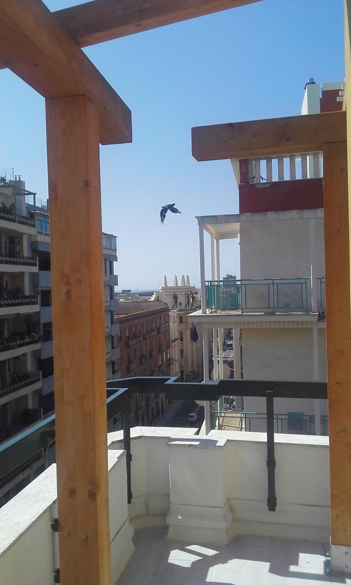 Monolocale Sonnino Villa Cagliari Ngoại thất bức ảnh